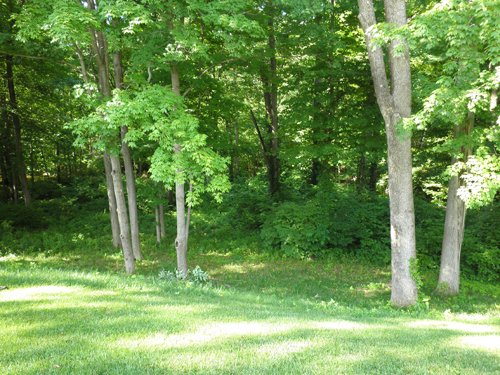 Property photo 1 - Quality 5,391 sq. ft. Estridge built home on 1.87 acre wooded lot